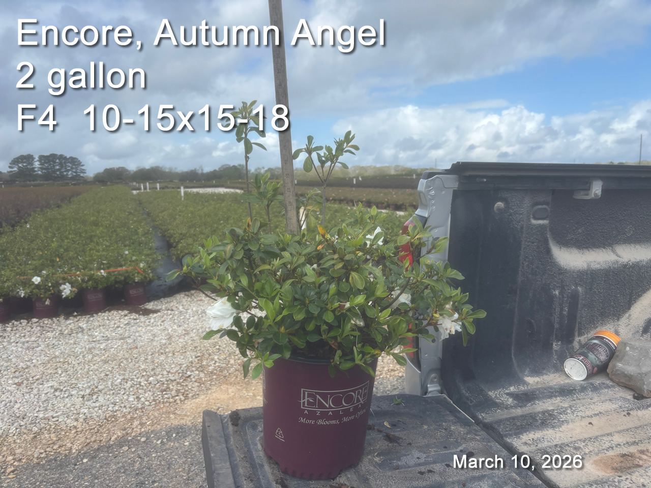 gallery/eang2 f4 mar10.jpg